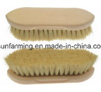 Grooming and Horse Cattle Brush