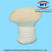 Supply of Horse Tail Hair for Brush Making